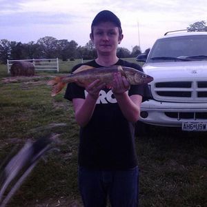 Meet your Posher, Kodi